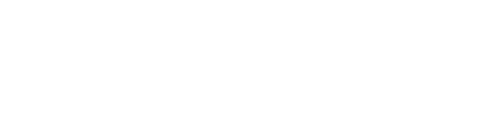 CardioSecurity — + Formi + Salvi